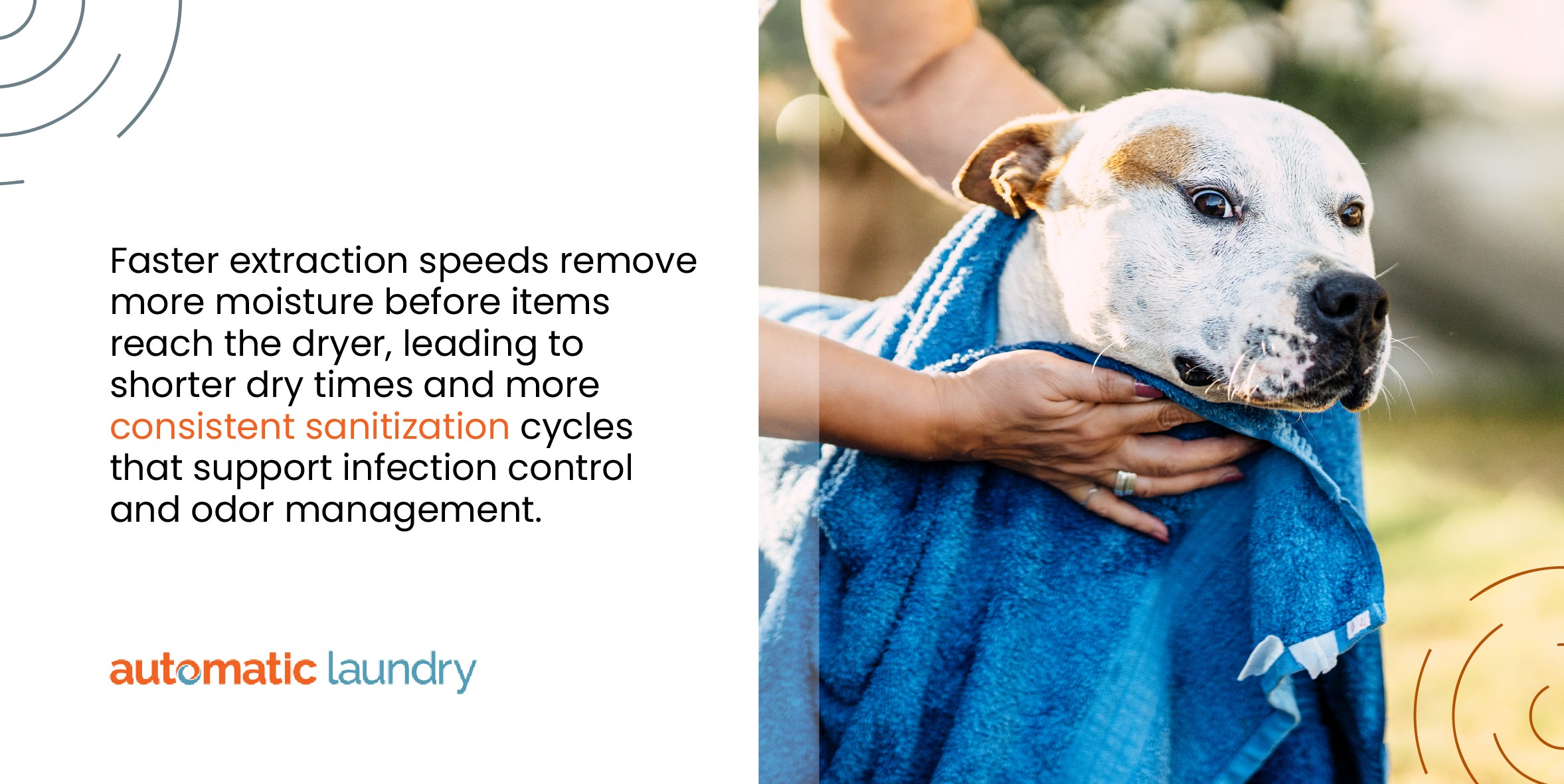 Upgrading laundry room equipment for greener animal care operations