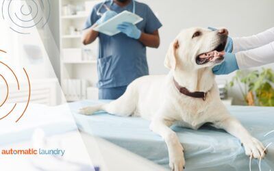Why Do Veterinary Clinics Need Commercial-Grade Laundry Solutions from a Trusted Laundry Company?