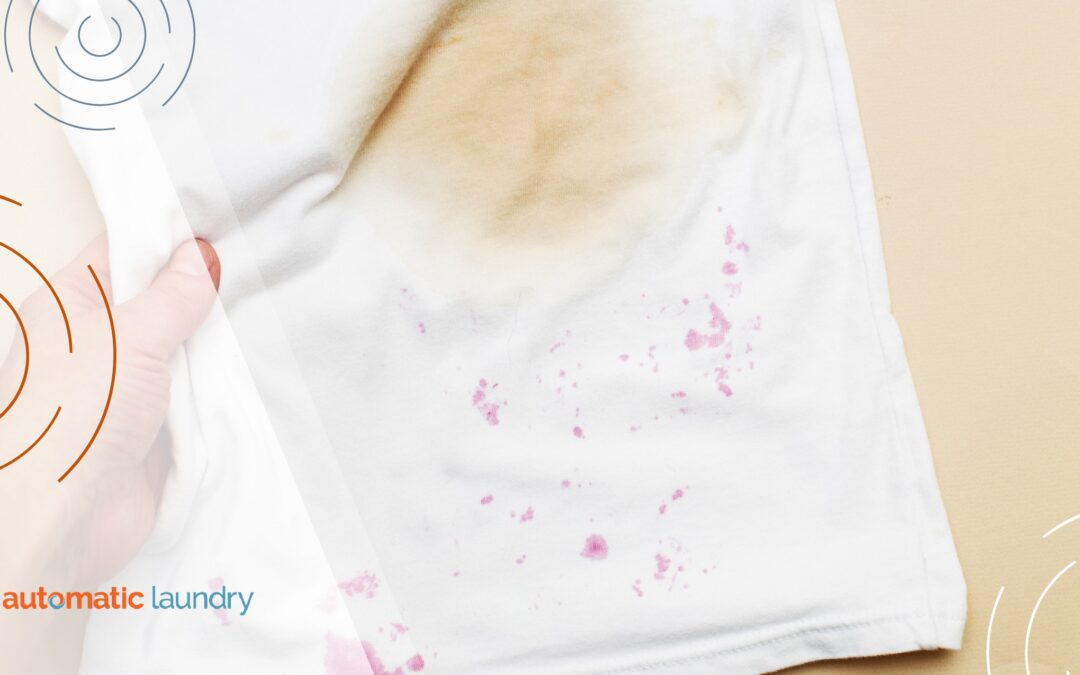 Laundry Mobile App Features That Make Stain Removal Easier for Residents