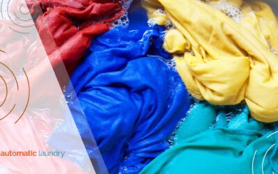 How to Freshen Laundry That Sat Wet Overnight: Practical Solutions for Residents