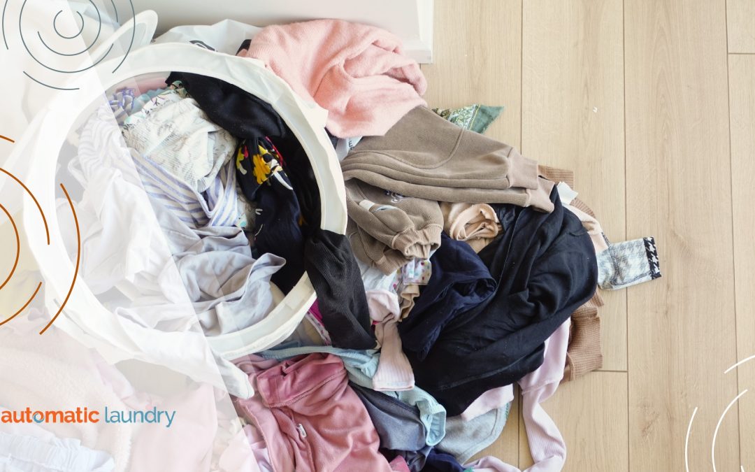 How to Store Laundry Properly to Avoid Musty Smells Over Time
