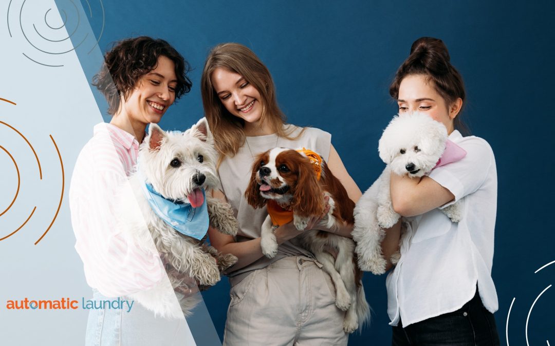 Methods and Laundry Appliances You Can Use to Eliminate Pet Odors