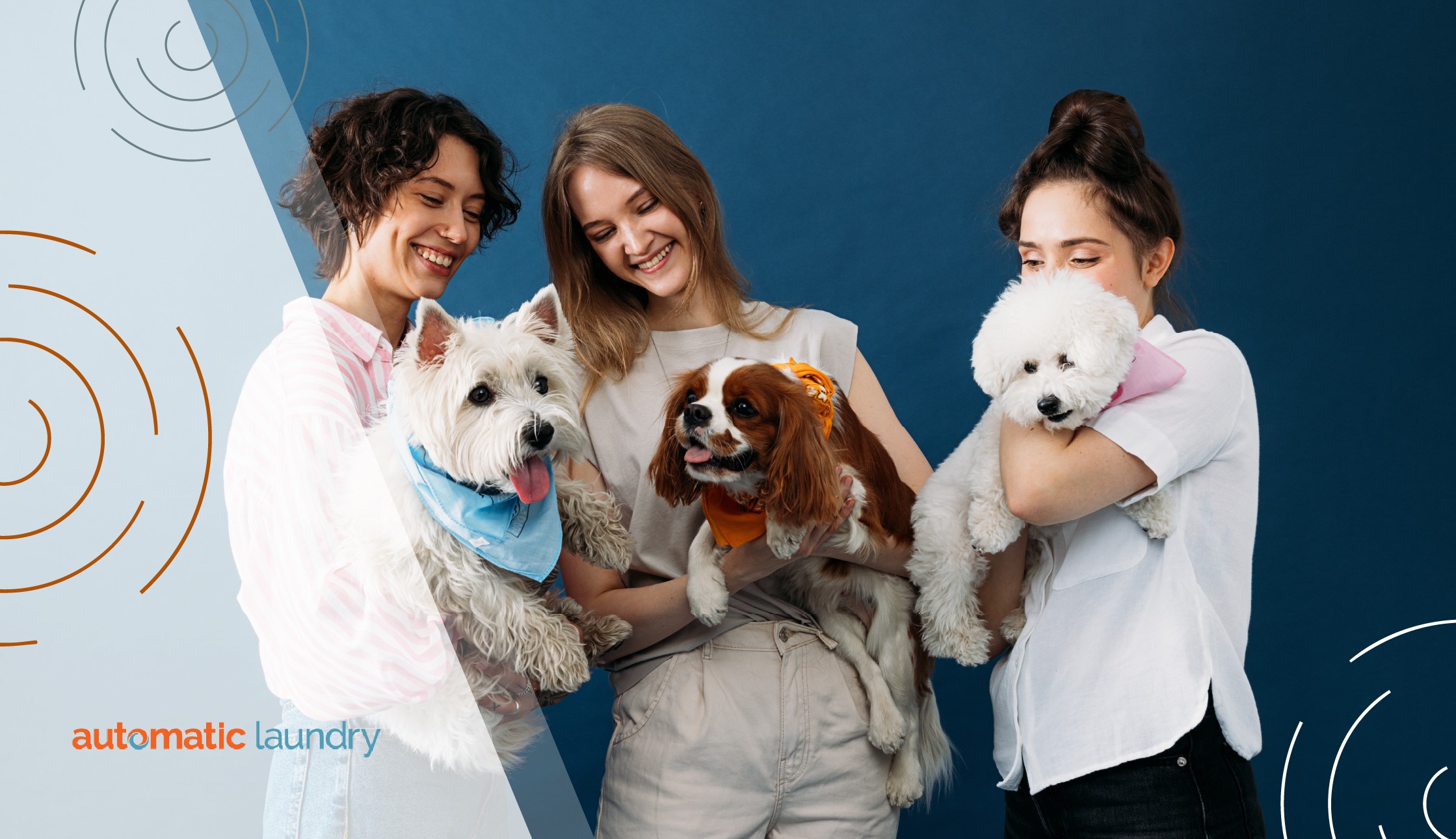 Methods and Laundry Appliances You Can Use to Eliminate Pet Odors