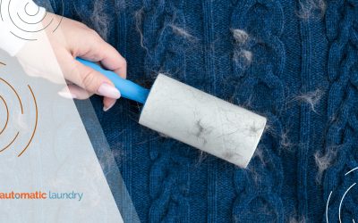 Handling Fur-Heavy Washes Without Clogging Laundry Equipment