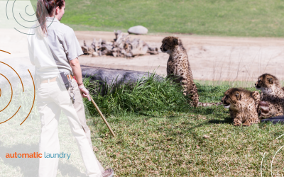 How Zoos and Aquariums Manage Laundry Needs with the Right Laundry Company