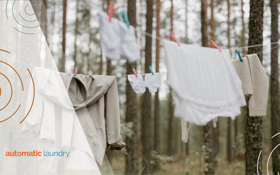 Community Laundry Tips to Reduce Allergens During Allergy Season